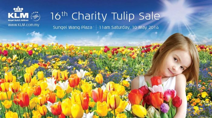 KLM Charity Tulip Sale 2014