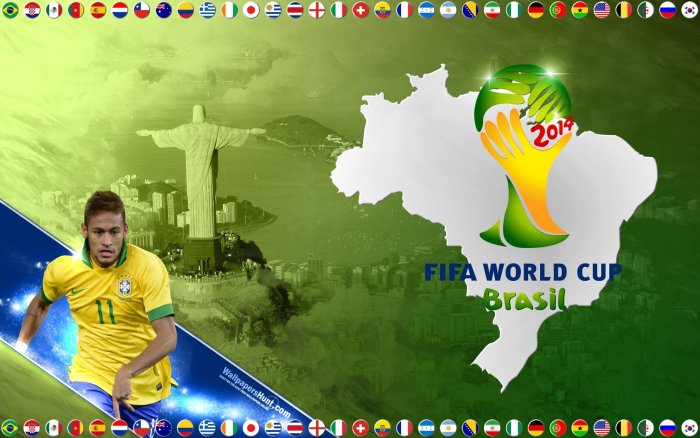 2014 FIFA World Cup Brazil - Group A - Cameroon : Brazil