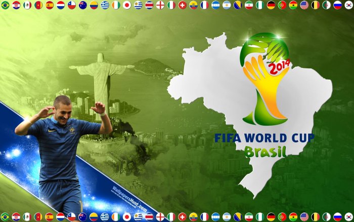 2014 FIFA World Cup Brazil - Group E - Ecuador : France