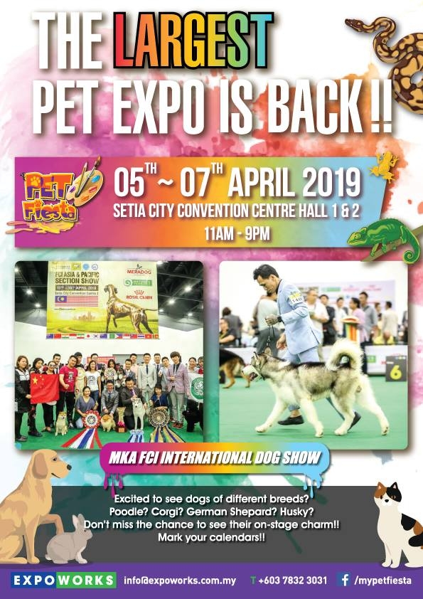 Pet Fiesta 2019